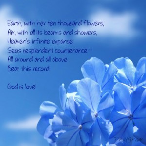 Blue flowers closeup and God is love quote