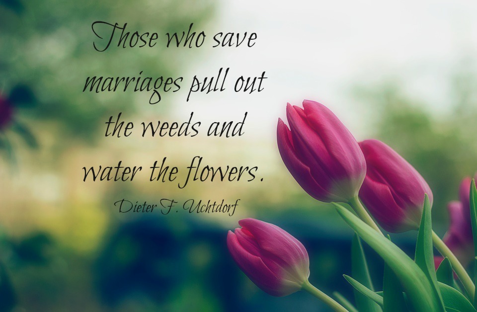 Those who save marriages pull out the weeds and water the flowers. Dieter F. Uchtdorf