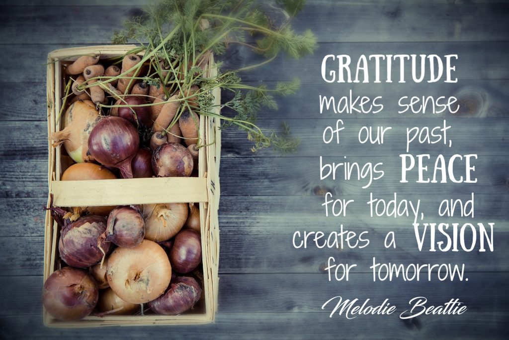 “Gratitude makes sense of our past, brings peace for today, and creates a vision for tomorrow.” —Melody Beattie